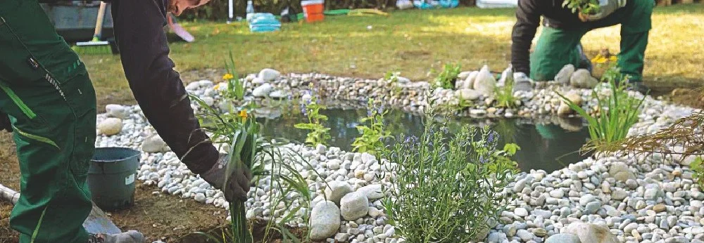 Personen legen einen Gartenteich an